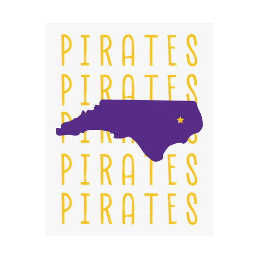 Pirates Poster