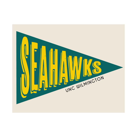 Seahawks Pennant- Turquoise
